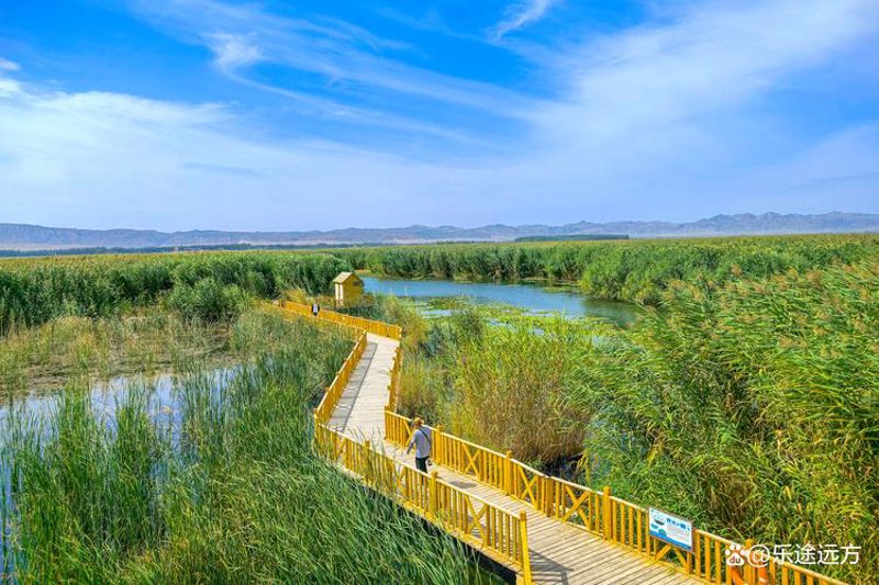 新疆旅行的魅力：一段难忘旅程的回顾